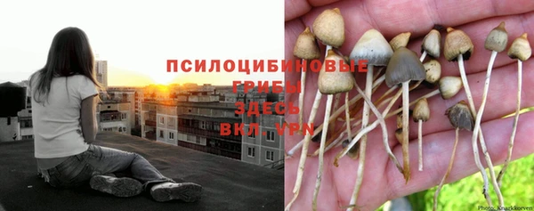 экстази Балабаново