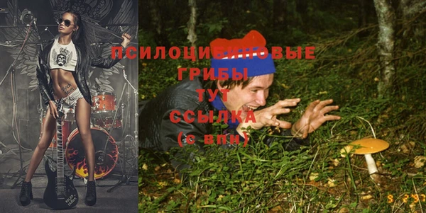 гашиш Арсеньев