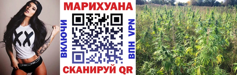 Бошки Шишки семена  darknet клад  Родники 